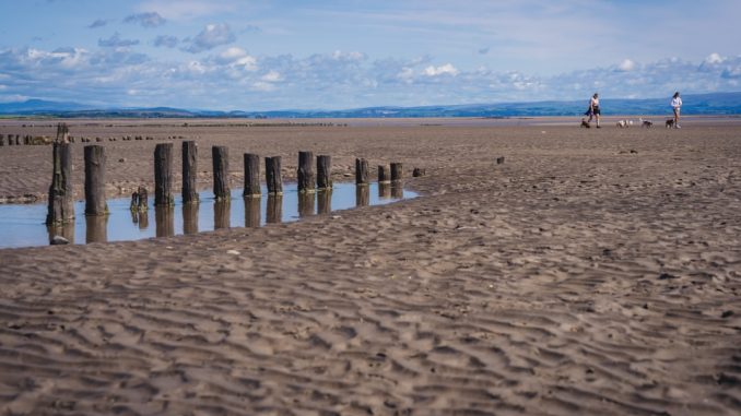 Photo Scheduled posts