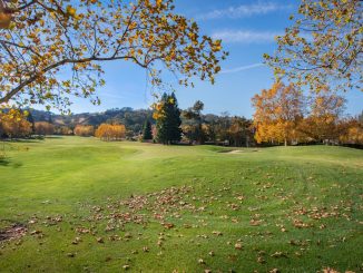 Photo Google algorithm