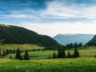 Photo Headless Commerce