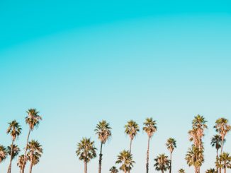 Photo Cookieless Web