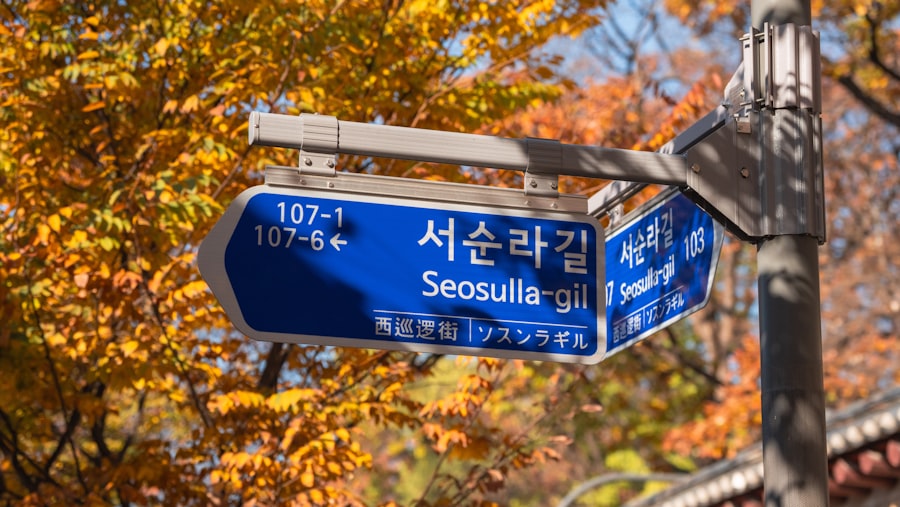 Local SEO